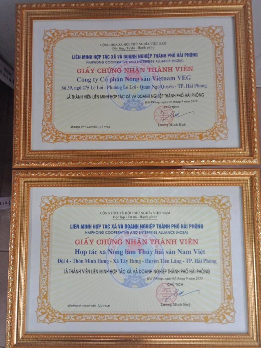 lien minh htx và doanh nghiep hai phong